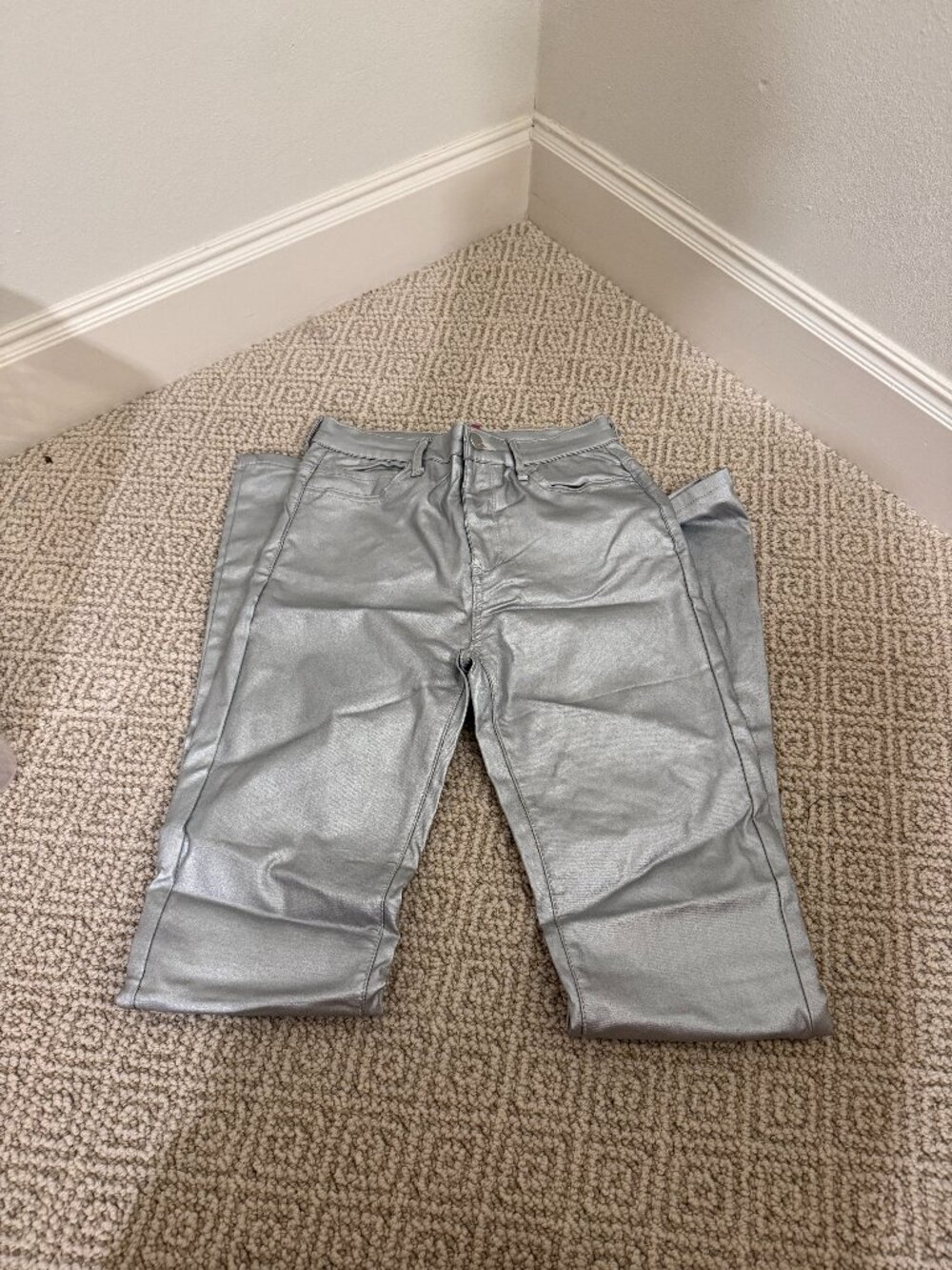edikted silver pants